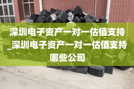 深圳电子资产一对一估值支持_深圳电子资产一对一估值支持哪些公司