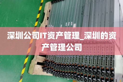 深圳公司IT资产管理_深圳的资产管理公司
