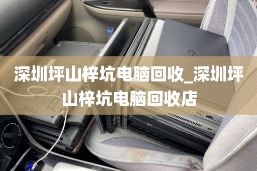 深圳坪山梓坑电脑回收_深圳坪山梓坑电脑回收店
